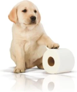 Page Toiletpapier - 32 Rollen - Kussenzacht Wc Papier (3-laags) - Voordeelverpakking -Lifestyle-Productwinkel 1001x1200