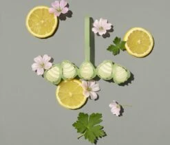 Marcel's Green Soap Toiletblok Geranium & Citroen - 55 Gram 11 Marcel's Green Soap Toiletblok Geranium & Citroen - 55 Gram -Lifestyle-Productwinkel 1200x1023