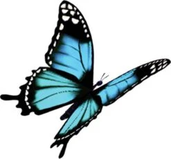 Robijn Klein & Krachtig Wasmiddel Black Velvet 1,19 Liter -Lifestyle-Productwinkel 1200x1118