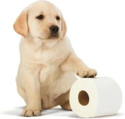 Scottex Toiletpapier - Kussenzacht Design Wc Papier - 84 Rollen -Lifestyle-Productwinkel 1200x1142 2