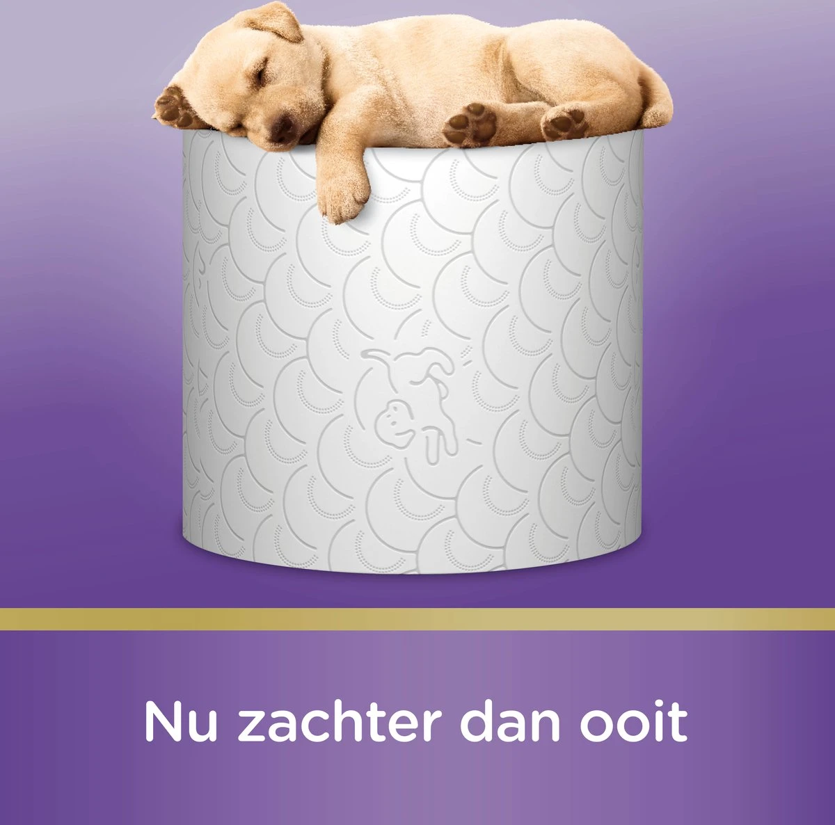 Page Toiletpapier - Kussenzacht Wc Papier - Voordeelverpakking - 24 Rollen 12 Page Toiletpapier - Kussenzacht Wc Papier - Voordeelverpakking - 24 Rollen - Afbeelding 10