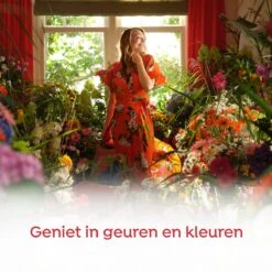 Robijn Color & Passiebloem Wasmiddel En Wasverzachter Pakket - 5 Stuks - Voordeelpakket 17 Robijn Color & Passiebloem Wasmiddel En Wasverzachter Pakket - 5 Stuks - Voordeelpakket -Lifestyle-Productwinkel 1200x1200 106