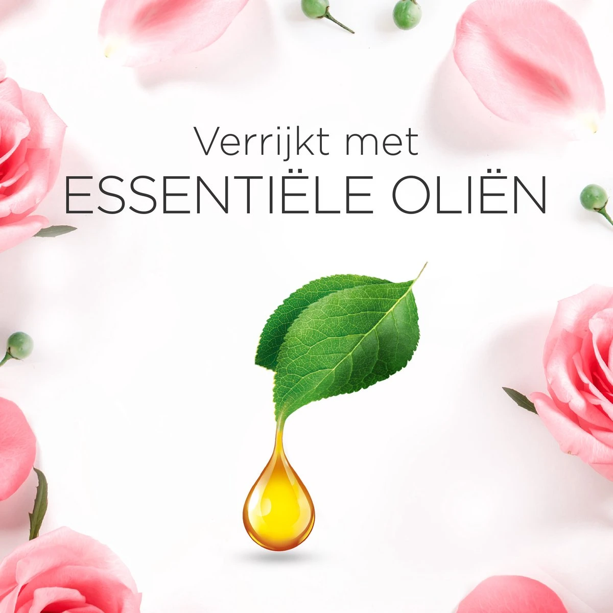 Air Wick Essential Mist Luchtverfrisser - Kalmerende Rozen - 3 Navullingen 6 Air Wick Essential Mist Luchtverfrisser - Kalmerende Rozen - 3 Navullingen - Afbeelding 4