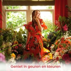 Robijn Klein & Krachtig Color Vloeibaar Wasmiddel - 8 X 20 Wasbeurten - Voordeelverpakking -Lifestyle-Productwinkel 1200x1200 201