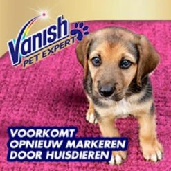 Vanish Pet Expert Schuim 600ml 13 Vanish Pet Expert Schuim 600ml -Lifestyle-Productwinkel 1200x1200 403