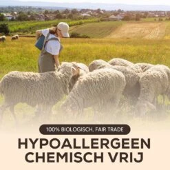 Drogerballen - Droogballen - Wasdrogerballen - Dryerballs - 6 Stuks - XL Formaat - Wol - Set -Lifestyle-Productwinkel 1200x1200 482