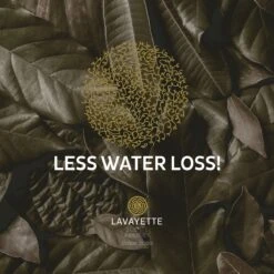 Lavayette XL Drogerballen Met 25ml Wasparfum - WasdrogerBallen – Droogballen – Wasbol – 100% Nieuw-Zeelands Schapenwol – Milieu- En Diervriendelijk – 6 Stuks -Lifestyle-Productwinkel 1200x1200 541