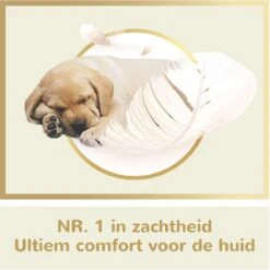 Page Puur Toiletpapier - 24 Rollen - Extra Duurzaam Wc Papier - Voordeelverpakking 13 Page Puur Toiletpapier - 24 Rollen - Extra Duurzaam Wc Papier - Voordeelverpakking -Lifestyle-Productwinkel 1200x1200 987