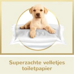 Page Puur Toiletpapier - 24 Rollen - Extra Duurzaam Wc Papier - Voordeelverpakking 15 Page Puur Toiletpapier - 24 Rollen - Extra Duurzaam Wc Papier - Voordeelverpakking -Lifestyle-Productwinkel 1200x1200 988