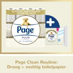Page Puur Toiletpapier - 24 Rollen - Extra Duurzaam Wc Papier - Voordeelverpakking 17 Page Puur Toiletpapier - 24 Rollen - Extra Duurzaam Wc Papier - Voordeelverpakking -Lifestyle-Productwinkel 1200x1200 990